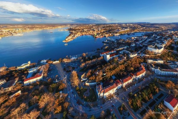 Через какой браузер можно зайти на мегу