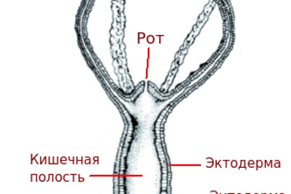 Kraken ссылка tor зеркало