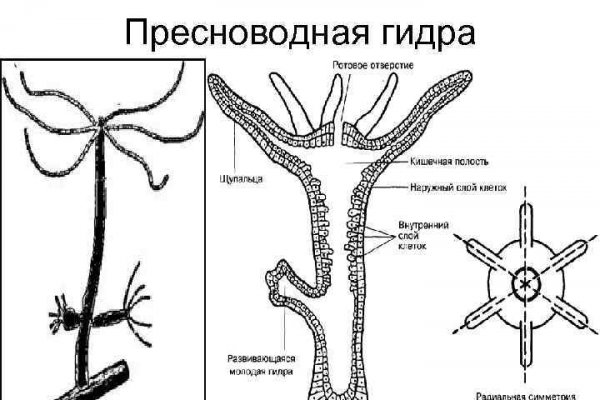 Как пишется сайт омг